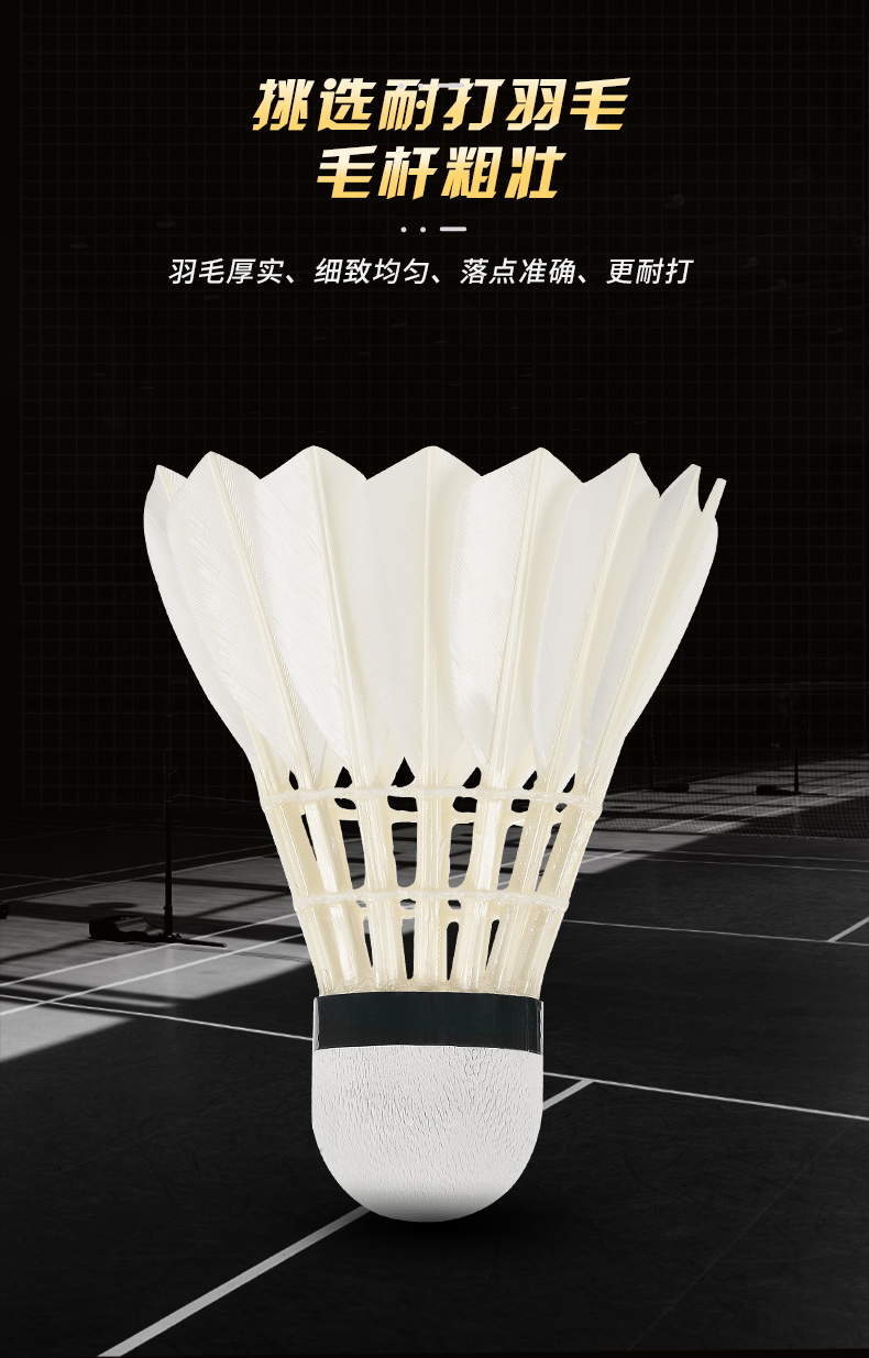 Novo 12PCS Profissional Badmin - Badminton Bwf avaliação e preço