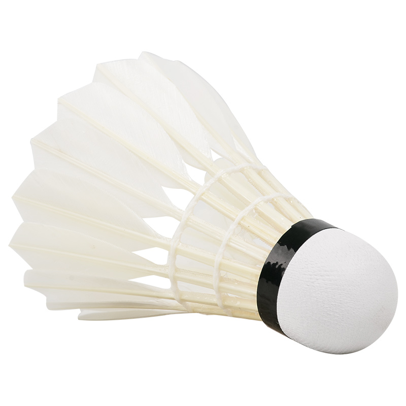 Novo 12PCS Profissional Badmin - Badminton Bwf avaliação e preço