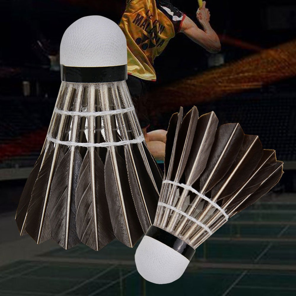 3/6/12 Peças Acessórios Profis - Badminton Bwf avaliação e preço